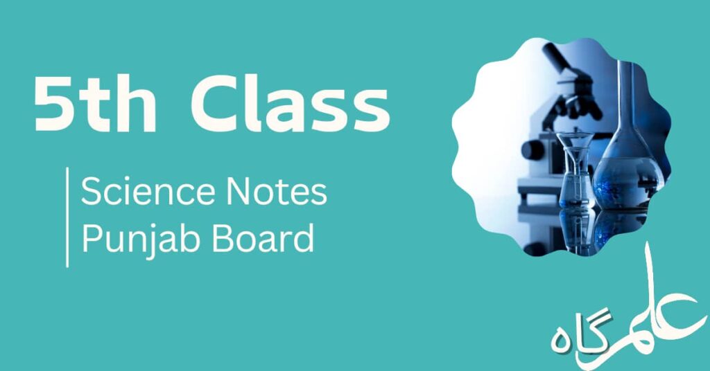 5th Class Science Notes Punjab Board