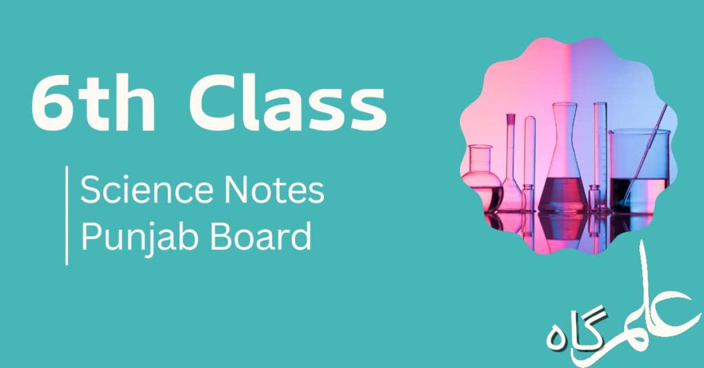 6th Class Science Notes Punjab Board