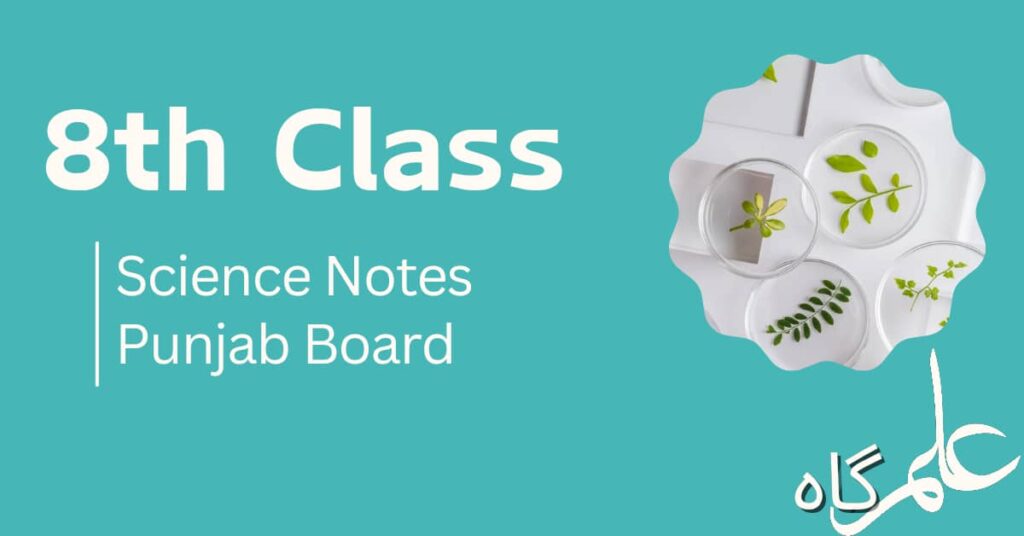 8th Class Science Notes Punjab Board