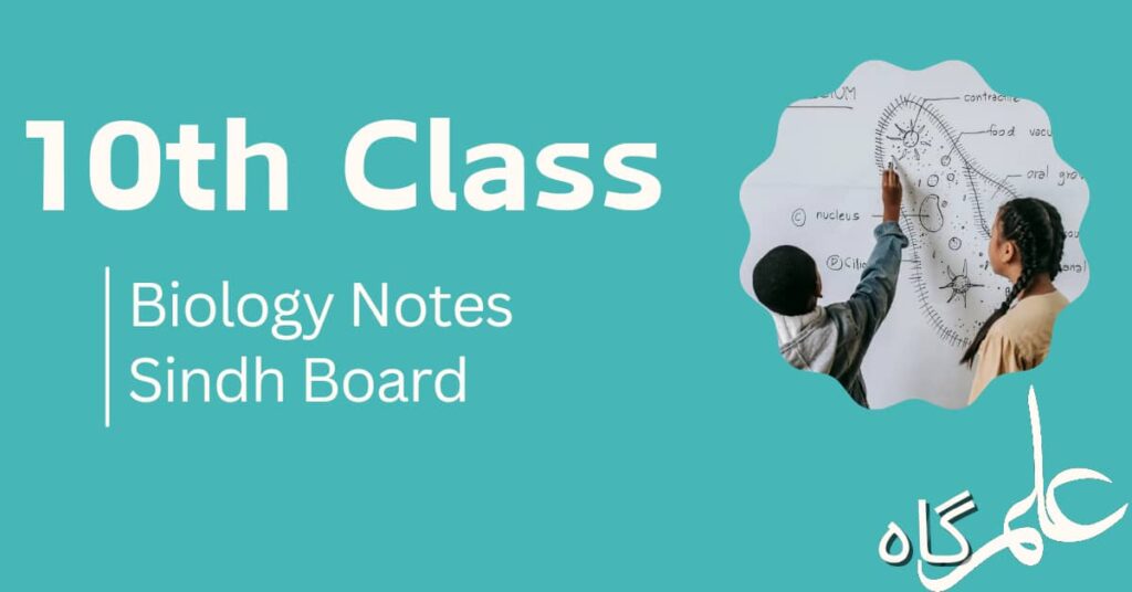 Class 10 Biology Notes For Sindh Board